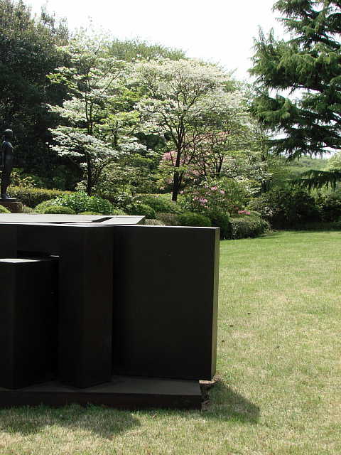世田谷美術館周辺　花水木　写真